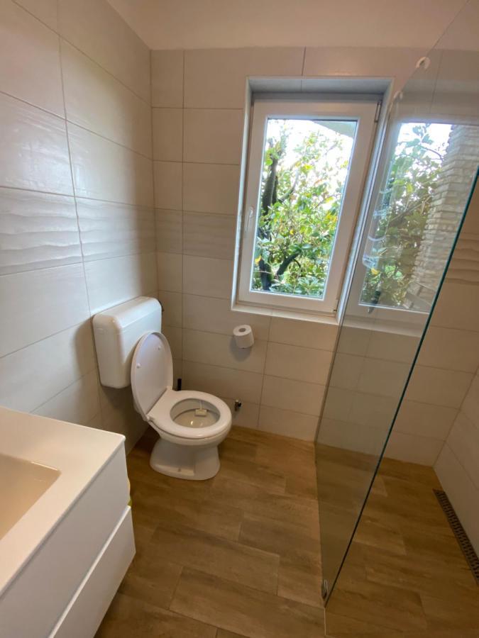 נובה גוריקה Apartma Magnolija מראה חיצוני תמונה