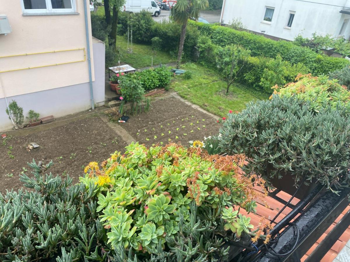 נובה גוריקה Apartma Magnolija מראה חיצוני תמונה