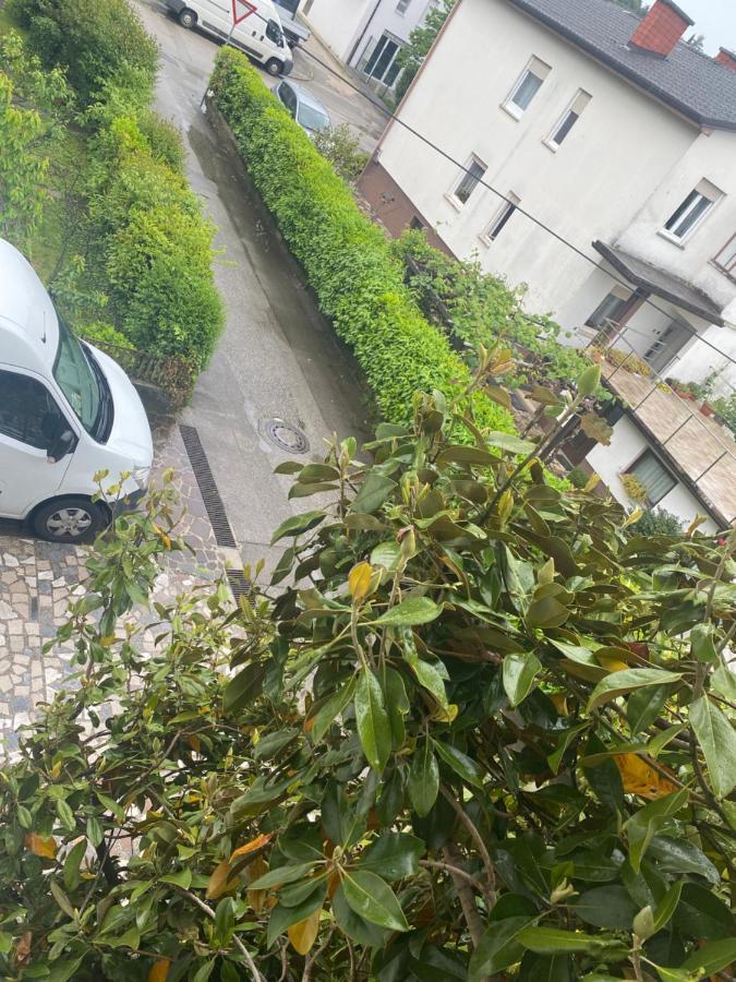 נובה גוריקה Apartma Magnolija מראה חיצוני תמונה