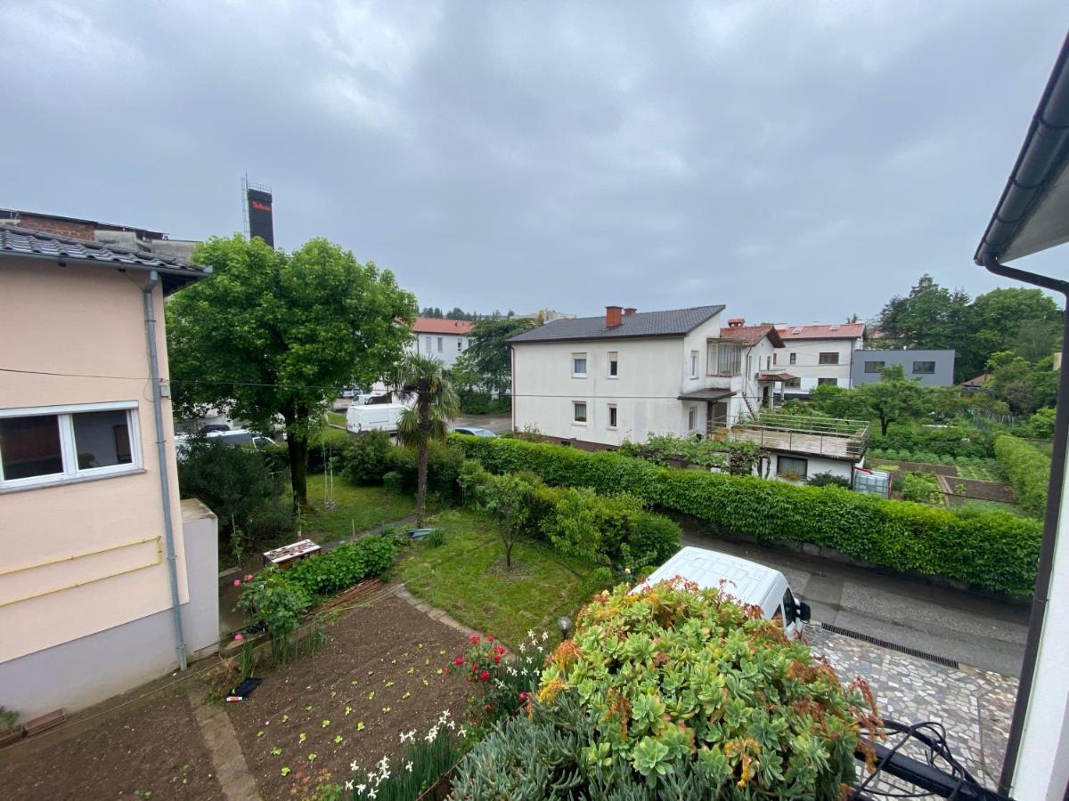 נובה גוריקה Apartma Magnolija מראה חיצוני תמונה